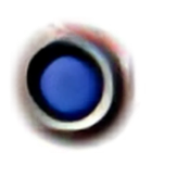 Disco Mode